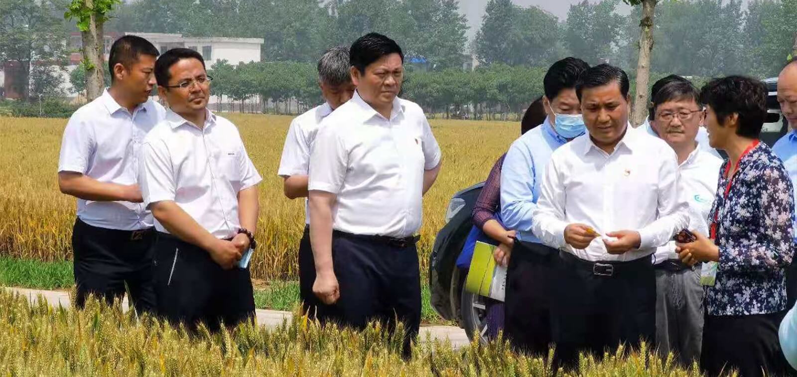 MetInfo enterprise content manager system | MetInfo CMS 润农节水