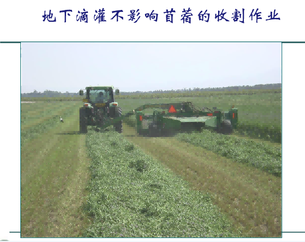 润农节水 润农节水