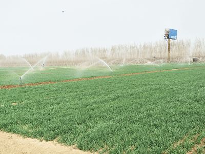 Sprinkler Irrigation Project for High-Standard Farmland Construction in Suning County